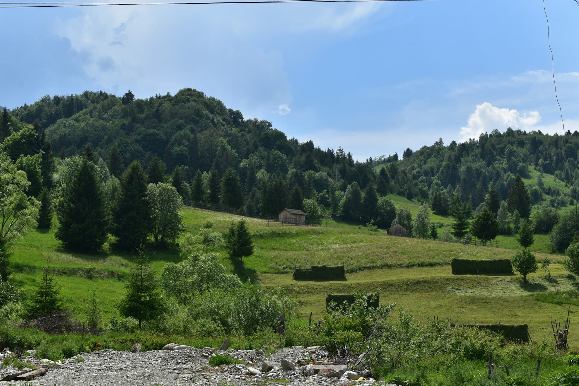 Dealuri cu tufișuri și copaci, undeva în România